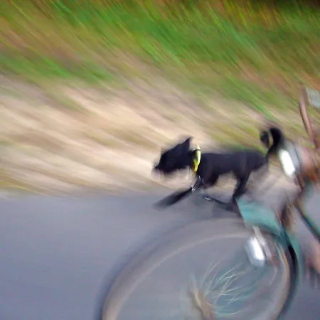 Traumhaff Summer By Sea Mit Kamin, Privates Nordicspa, Boot Prázdninový dům Luckow (Mecklenburg-Vorpommern)